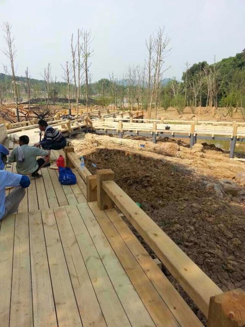 铜陵优质户外园林景观防腐木：打造耐久美观的木栈道地板栏杆