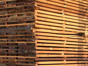 炭化木与防腐木 专业加工与地区优势解析